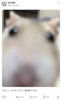 https://images.plurk.com/7lbWQzYwb5Q3pLiIfhi7Kr.jpg