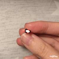 https://images.plurk.com/7lboNRQiQCI0hJvDLO6vXm.gif
