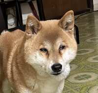 https://images.plurk.com/7lgSoVfkZZ3YVfHDr96xs8.jpg
