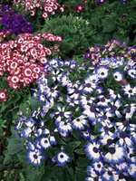 https://images.plurk.com/7lh9mCk6XlhDsEcew8H1jm.jpg