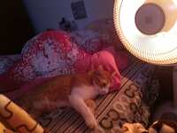 https://images.plurk.com/7lvLFd9GF2lIsc25J2UbjS.jpg
