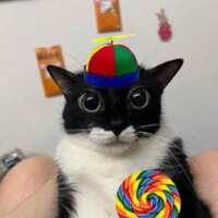 https://images.plurk.com/7lwi4Dn3fv8KOHOyapSBLY.png