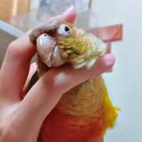 https://images.plurk.com/7m3BAMIaG6fykgOKP8gfJi.png