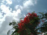 https://images.plurk.com/7m6ovxk432QlruqYER83vj.jpg