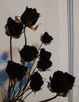 https://images.plurk.com/7mCtbRdD7oSYDQ089WCGhw.jpg