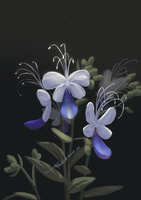 https://images.plurk.com/7mTLBKJ8ObJmf16uoAF7TO.jpg