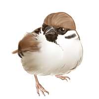 https://images.plurk.com/7mc3BR66g27kZbfSA2Z1dZ.png