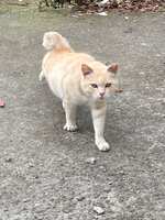 https://images.plurk.com/7mdchNr1IZomILE3cOXdBY.jpg