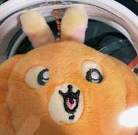 https://images.plurk.com/7mjb6TgQGcq1viWdzNb8Gm.jpg