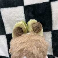 https://images.plurk.com/7mkWq2wCAHVXrjibfq9e4g.jpg