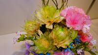 https://images.plurk.com/7moMCfpvLxszh04DVxMpae.jpg