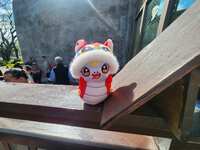 https://images.plurk.com/7mog104jHPnWAhxlpGiFfo.jpg