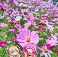 https://images.plurk.com/7mq0cf0OzO7nwpdg4Ye4Nm.jpg