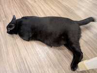 https://images.plurk.com/7mz7voDvh7sGLatvDmACyN.jpg