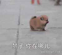 https://images.plurk.com/7n0PrR8fI9NhXL5KEpPAOb.gif