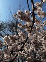 https://images.plurk.com/7nARJ6BSGtSPA7sQSXZKE3.jpg