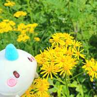 https://images.plurk.com/7nAm4q8UQc7xaO86Pb3SXV.jpg