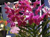 https://images.plurk.com/7nB550qjQoGBjdCyK9hI0V.jpg