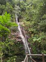 https://images.plurk.com/7nBB6BPi73lPDaD4M3pgIy.jpg