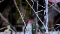 https://images.plurk.com/7nDKM708o4TKb4oh9yiFbu.png