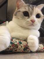 https://images.plurk.com/7nDw8mSkPiQdCT4DMw5e3q.jpg