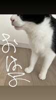 https://images.plurk.com/7nGrEDrTnmsVzj5qZAJRZs.png