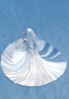 https://images.plurk.com/7nHVtyZFzWnSydRaobVUwV.png