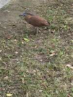 https://images.plurk.com/7nHwg5cQ5L8MVIvey8ESOI.jpg