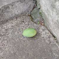 https://images.plurk.com/7nLawnlAlzBVfB1sTSbw7J.jpg