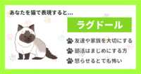 https://images.plurk.com/7nRQAjcEITk6SgjKbtVXp5.png