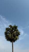 https://images.plurk.com/7neYdjWSI1MShrt52tqHzT.jpg