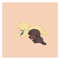 https://images.plurk.com/7nhdy9lZYUCoN5K8ETsoym.jpg