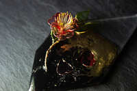 https://images.plurk.com/7nrNUjh8krcn7XnFhtfxKI.jpg