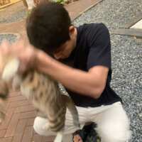 https://images.plurk.com/7ntEdIrzRejf4w9a8OCVhq.png