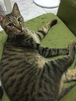 https://images.plurk.com/7nxzRUwJMyDbehzhtx6OAM.jpg