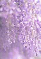 https://images.plurk.com/7o5XLtQl9ChewNpXMSTw4.jpg