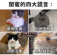 https://images.plurk.com/7o6iOgwPmESxxoHDxi0JUa.jpg