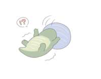 https://images.plurk.com/7oLtLHFJAKrrRmHw4WTzUP.png