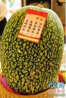 https://images.plurk.com/7oNsd99JIgeGHkp1e6HSf2.png