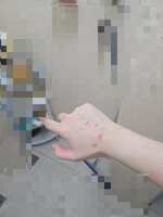 https://images.plurk.com/7oPcEOIiIXTAF6IYebj6qT.jpg