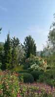 https://images.plurk.com/7oTsAgactB3fc5WNmYyfXl.jpg