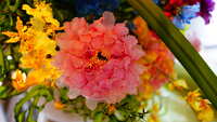https://images.plurk.com/7oUZr7UUaBg61ystT4crny.jpg