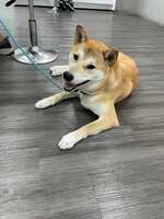 https://images.plurk.com/7oZR03wcr2iy7UDPxcL65z.jpg