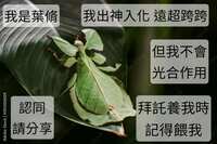 https://images.plurk.com/7ofliE79r7GPPo1Txc8D0m.jpg