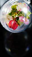 https://images.plurk.com/7oiIknmlaHJwjL3P7NN0OU.jpg