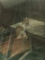 https://images.plurk.com/7okJqzcycHWUjmEL5ZNLI6.jpg