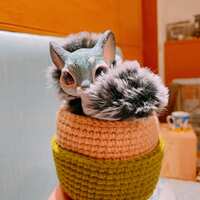 https://images.plurk.com/7otpYZz1ROOTz89IK7ndgs.jpg