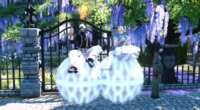 https://images.plurk.com/7oxNdIjqFWsAbq0LiFSo6H.png