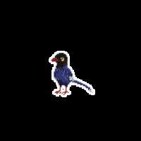 https://images.plurk.com/7p5qblZuKz7dZR2dVMCIHF.gif