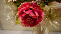 https://images.plurk.com/7p6pjgzE0miP0ctE7LeOy.jpg